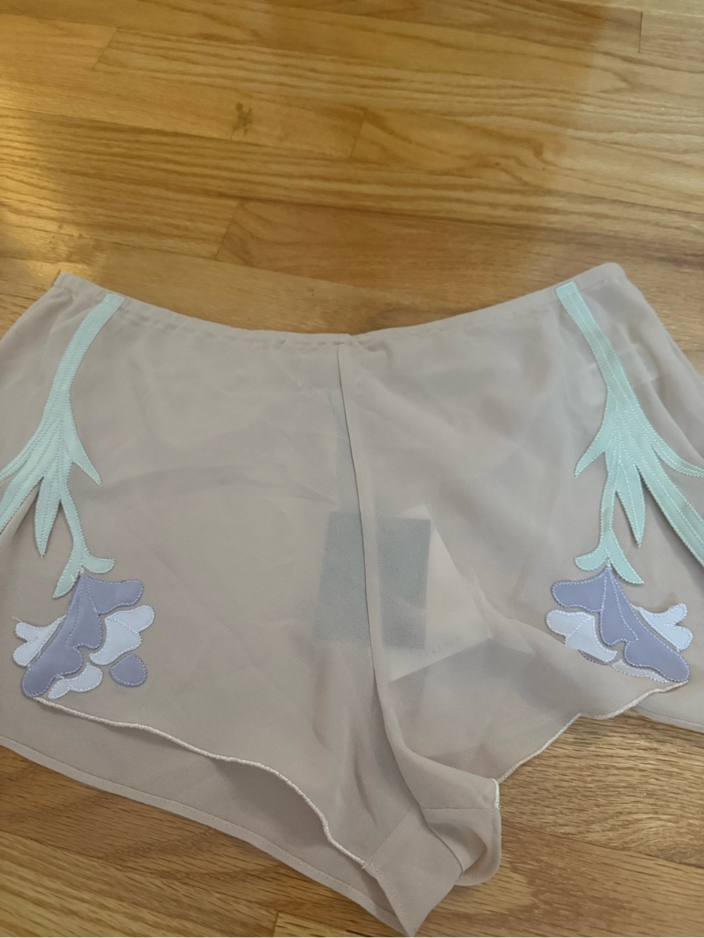 NWT ZARA SHEER FLORAL SHORTS